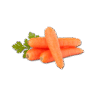 Vegetables Cabbage