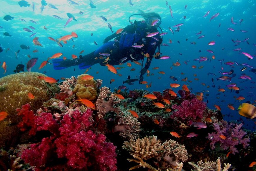 Scuba-Diving-in-Red-Sea-compressed_870x579
