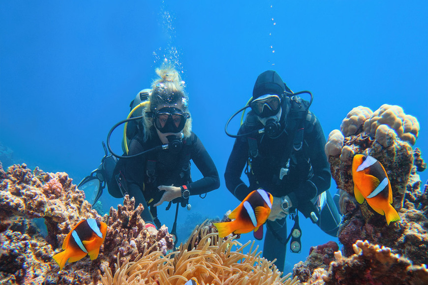 marsa_alam_divers_1_870x579